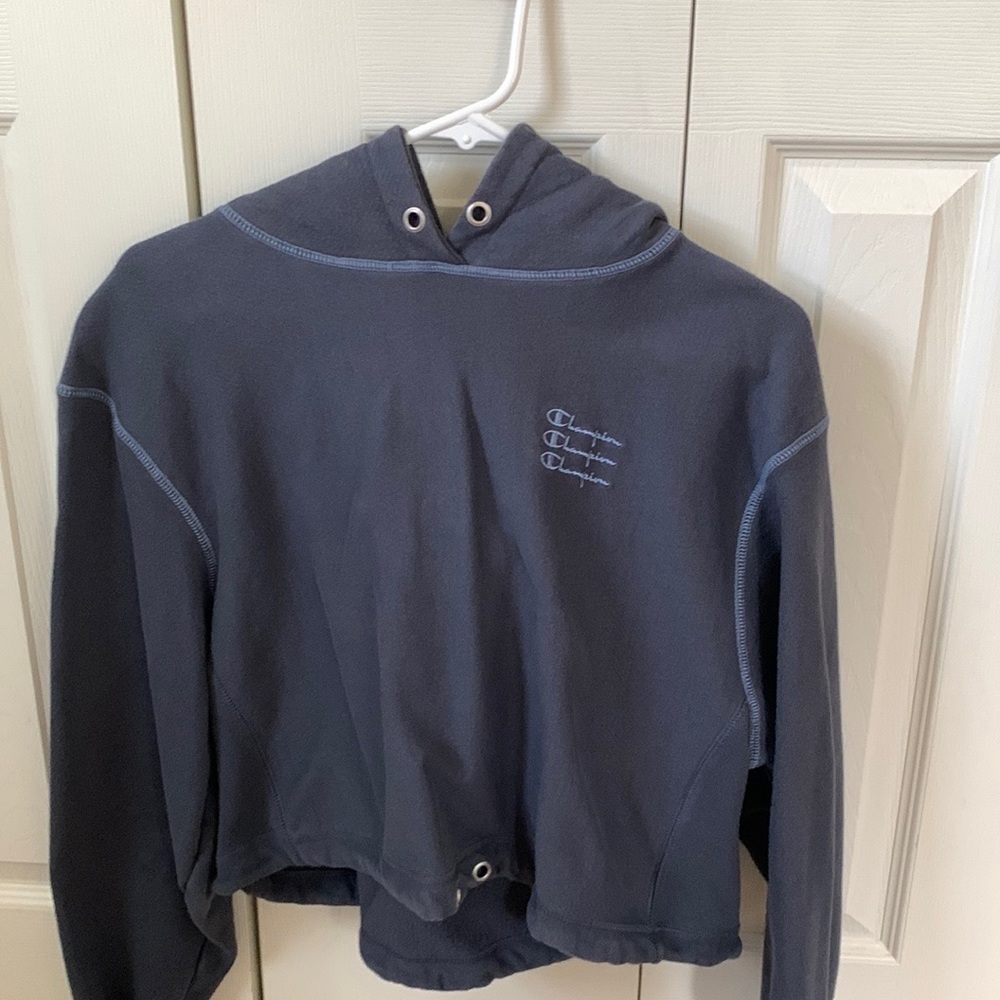 small cropped champion hoodie